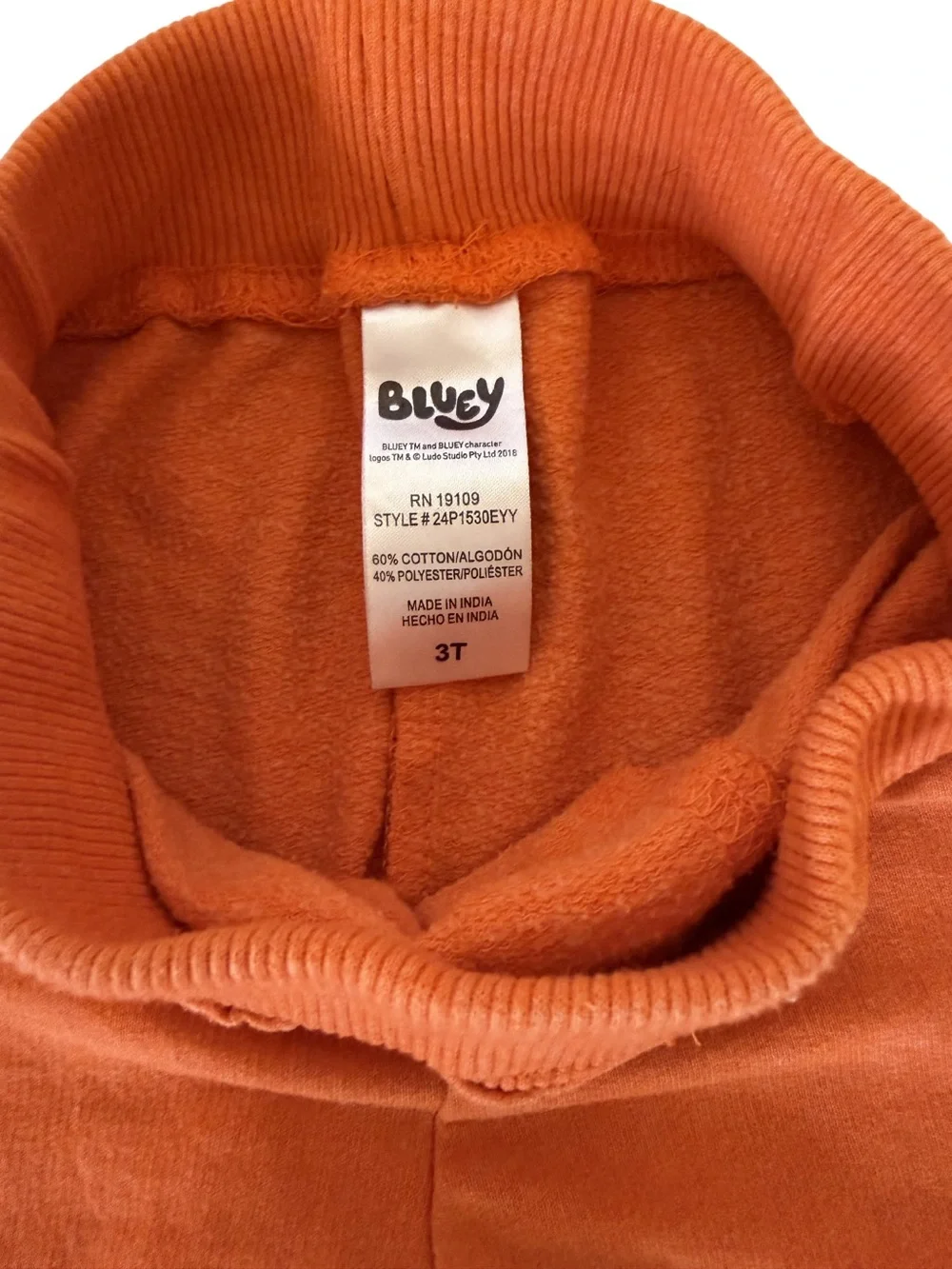 Kids Pumpkin Graphic Orange Jogger Sweatpants